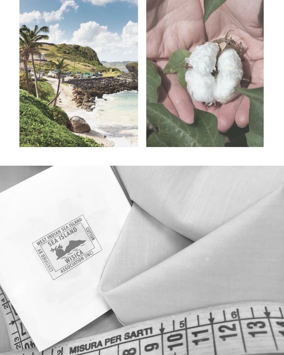 sea_island_cotton_barbados_organic_wisca