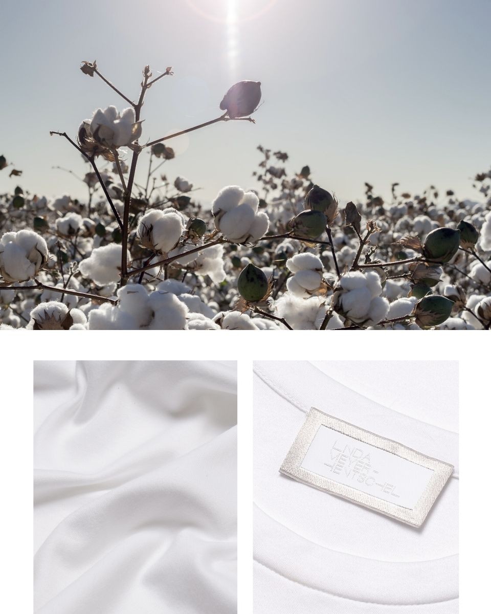 sea_island_cotton_rere_exclusive_organic